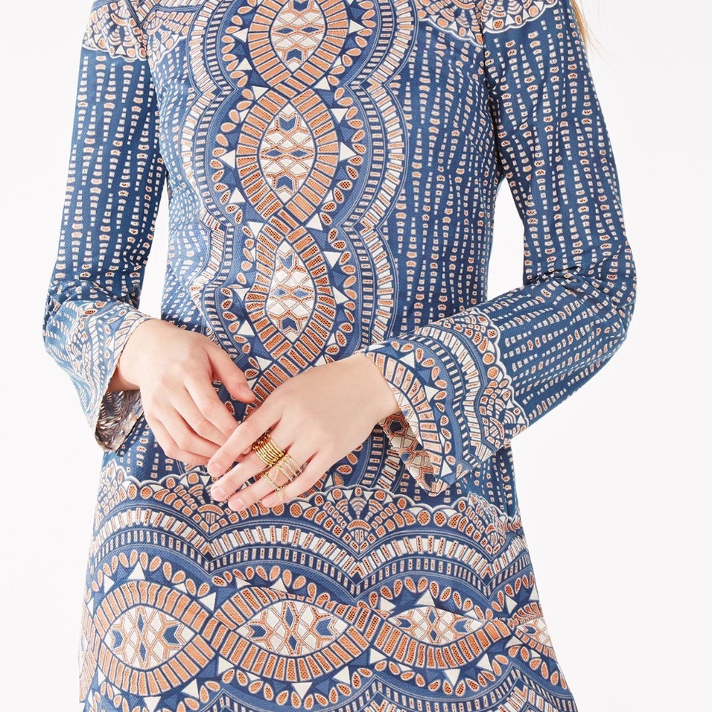 Bcbgmaxazria Allina Burnout Deco Print Mesh Dress - image 3